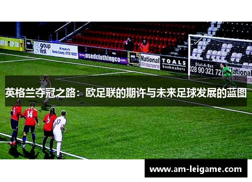 英格兰夺冠之路：欧足联的期许与未来足球发展的蓝图