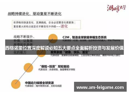 西格诺里位置深度解读必知五大要点全面解析投资与发展价值