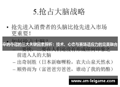 辛纳夺冠的三大关键因素探析：技术、心态与赛场适应力的完美融合