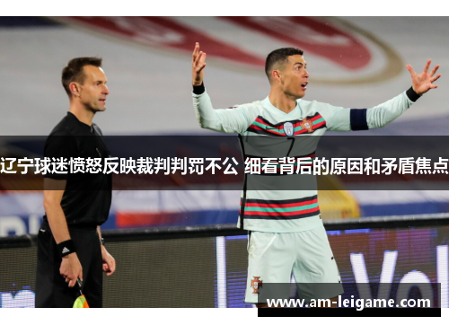 辽宁球迷愤怒反映裁判判罚不公 细看背后的原因和矛盾焦点