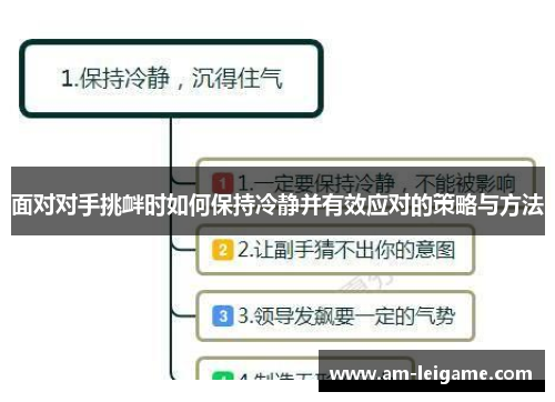 面对对手挑衅时如何保持冷静并有效应对的策略与方法