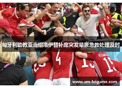 匈牙利助教亚当绍洛伊替补席突发晕厥急救处理及时 匈牙利助教亚当绍洛伊替补席突发晕厥急救处理及时