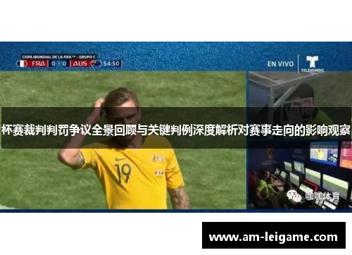 杯赛裁判判罚争议全景回顾与关键判例深度解析对赛事走向的影响观察 杯赛裁判判罚争议全景回顾与关键判例深度解析对赛事走向的影响观察