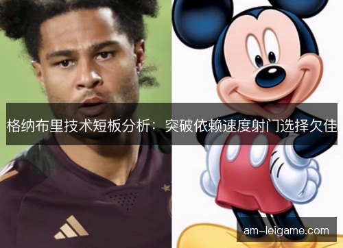 格纳布里技术短板分析：突破依赖速度射门选择欠佳