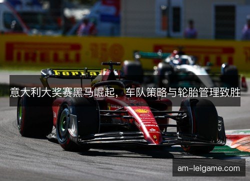 意大利大奖赛黑马崛起，车队策略与轮胎管理致胜