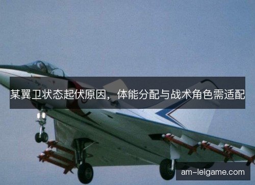 某翼卫状态起伏原因，体能分配与战术角色需适配